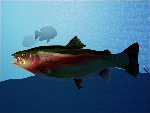 Download Trout Free Vector Download 4 Free Vector For Commercial Use Format Ai Eps Cdr Svg Vector Illustration Graphic Art Design