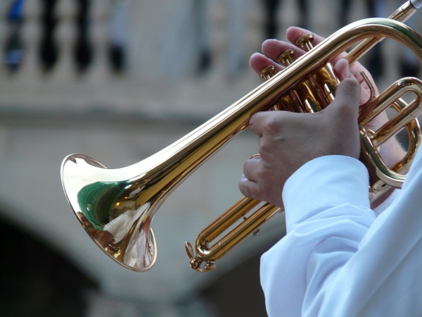 trumpet player trumpet musician