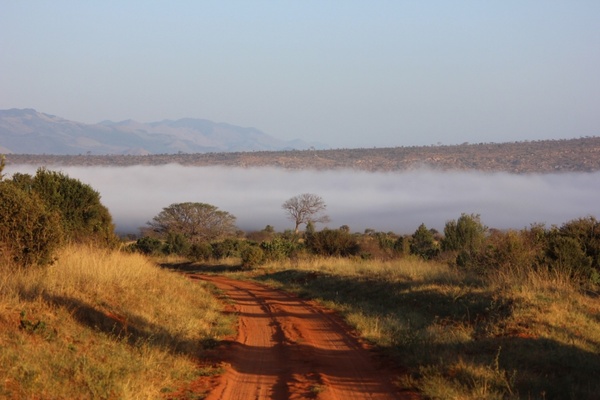 tsavo the landscape of the kenya