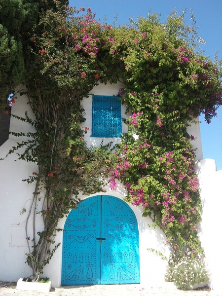 tunisia door flowers 