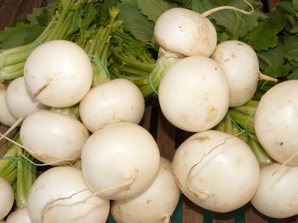 turnip nevett vegetable plant