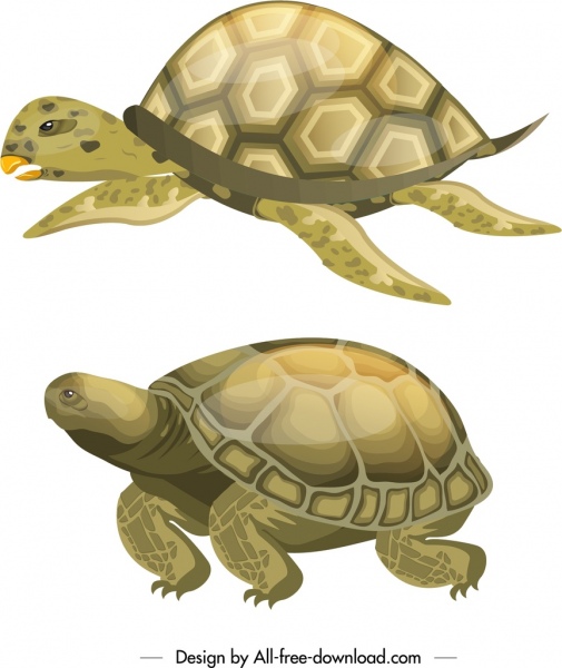 turtle creatures icons shiny colored sketch