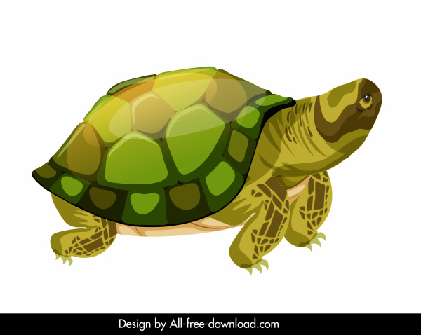 turtle icon shiny colorful sketch