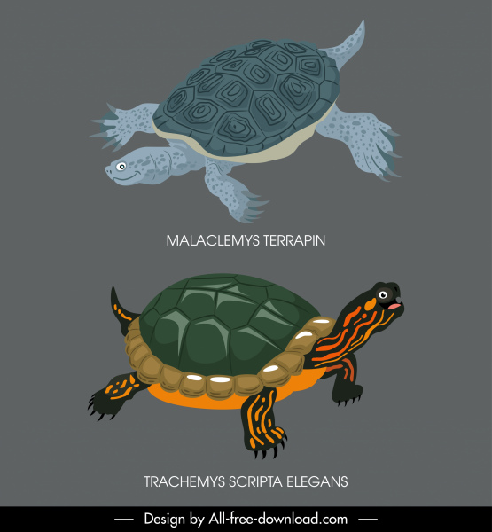 turtle species icons classic dark colored decor