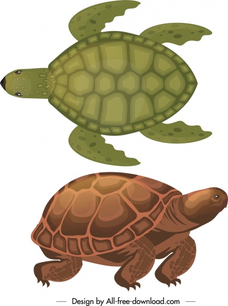 turtle species icons dark colored sketch