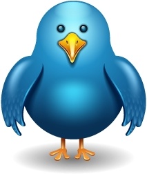 Twitter bird front