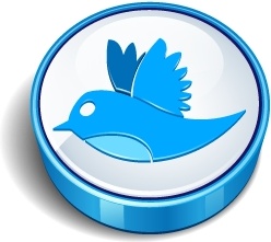 Twitter bird sign