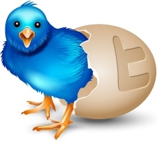 Twitter egg