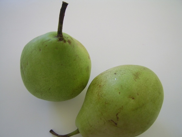 two green pears