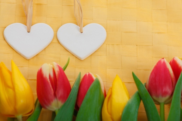 two hearts and tulips