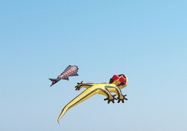 two kites