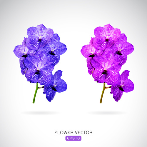 Download Purple flower vectors free vector download (13,316 Free ...