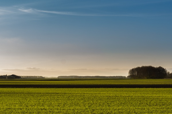 typical dutch landscape