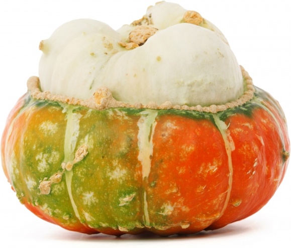 unusual pumpkin