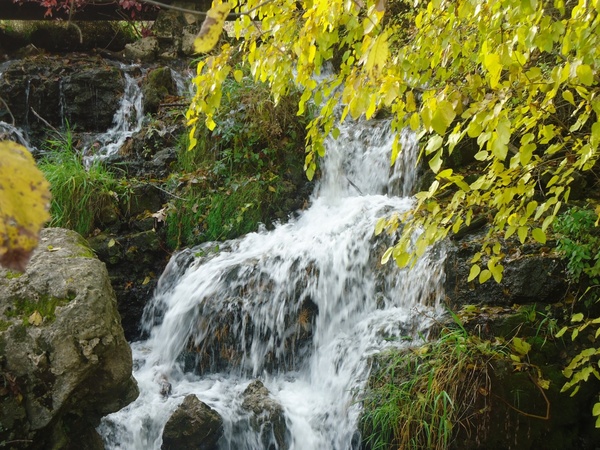 upper falls in govenor dodge state park wisconsin
