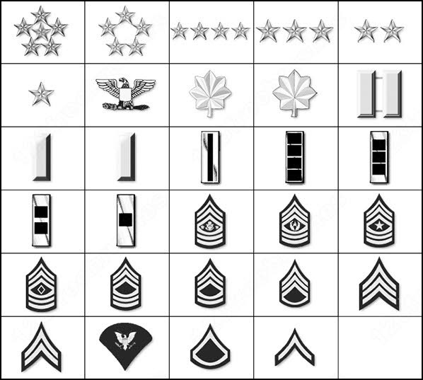 u.s. army ranks brush