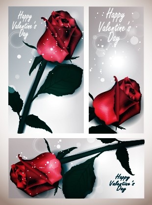 valentines day rose cards design vector 