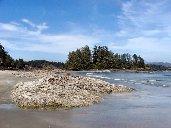 vancouver island tofino long beach