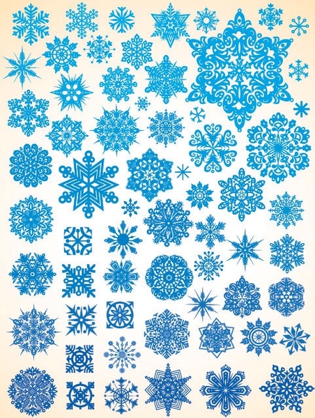 variety of snowflakes vector 1