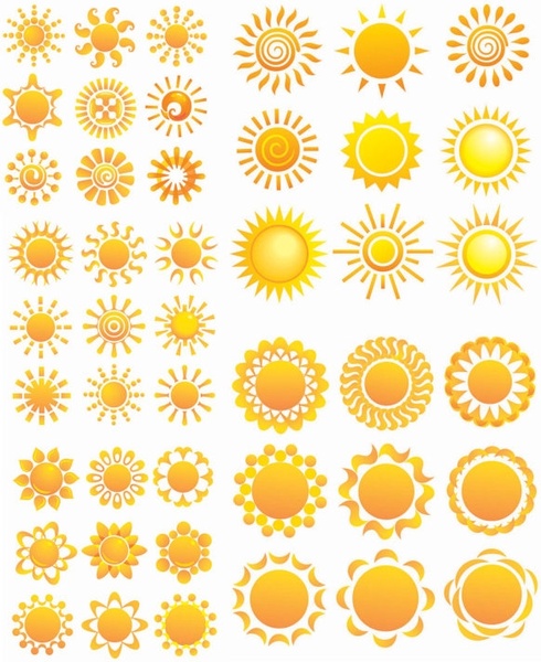 Download Variety of sunflower patterns vector Free vector in ...