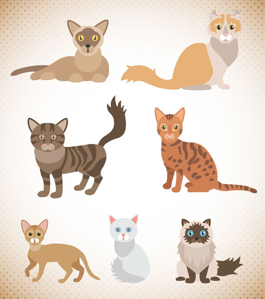 Various Cats Vector Illustration With Innocent Eyes Free Vector In Adobe Illustrator Ai Ai Format Encapsulated Postscript Eps Eps Format Format For Free Download 652 kb