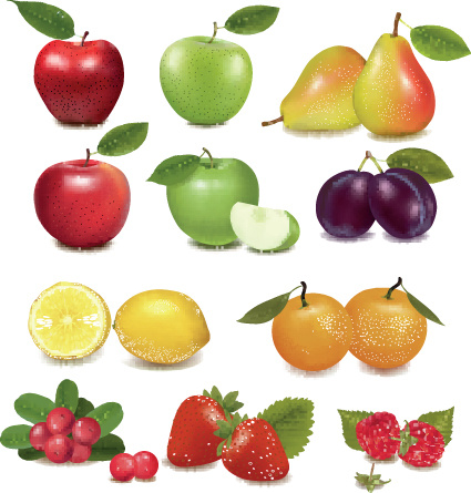 Download Various fresh fruit design elements vector Free vector in ...