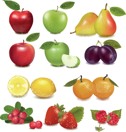 Various fresh fruit design elements vector Free vector in Encapsulated PostScript eps ( .eps ...