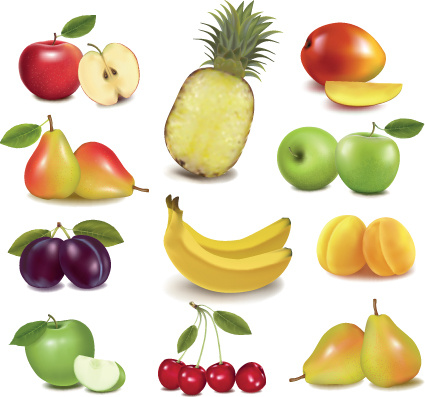 Download Various fresh fruit design elements vector Free vector in Encapsulated PostScript eps ( .eps ...