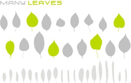 various leaves vector