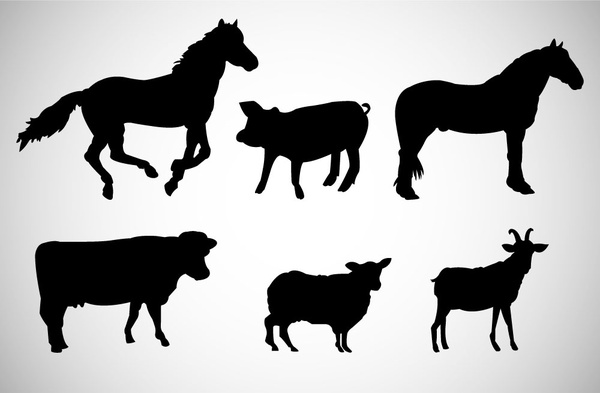various wild animals vector illustration with silhouettes design