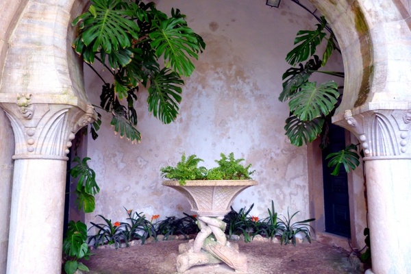vault plant stone table