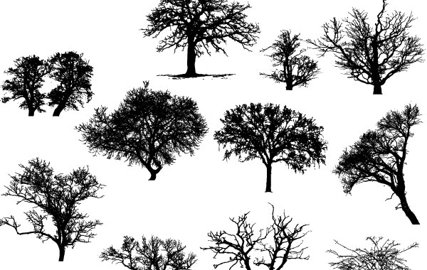 Vector Art: Trees Free vector in Adobe Illustrator ai ( .ai ) vector