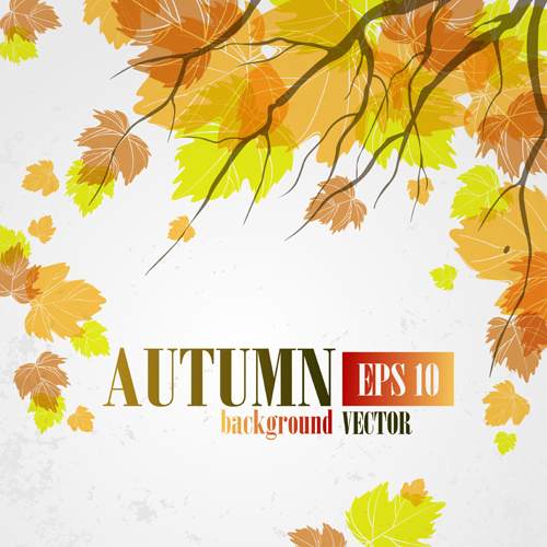 vector autumn leaves background graphic