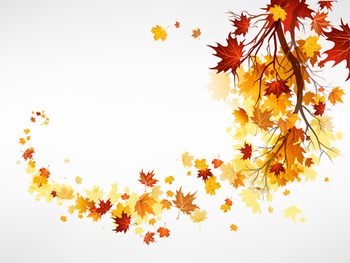 vector autumn leaves background graphic 