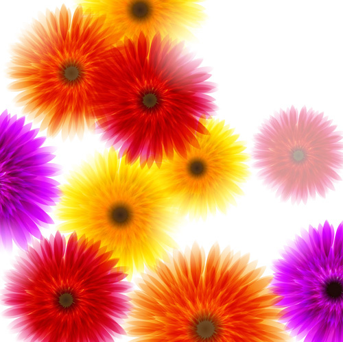 vector background with flowers design elements 