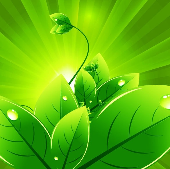 green leaves background sparkling ray decoration