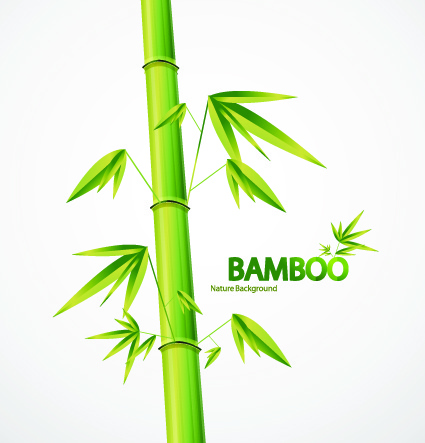 vector bamboo design elements background