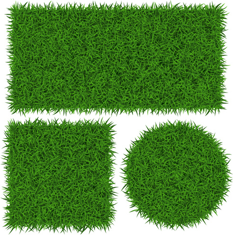 vector banner green grass design