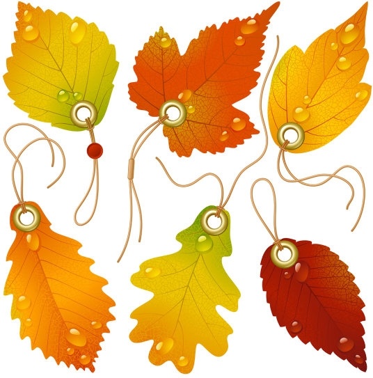 vector beautiful maple leaf bookmark