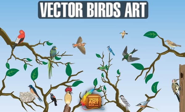 Vector Birds Art
