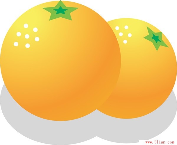 Vector cartoon oranges Free vector in Adobe Illustrator ai ( .ai