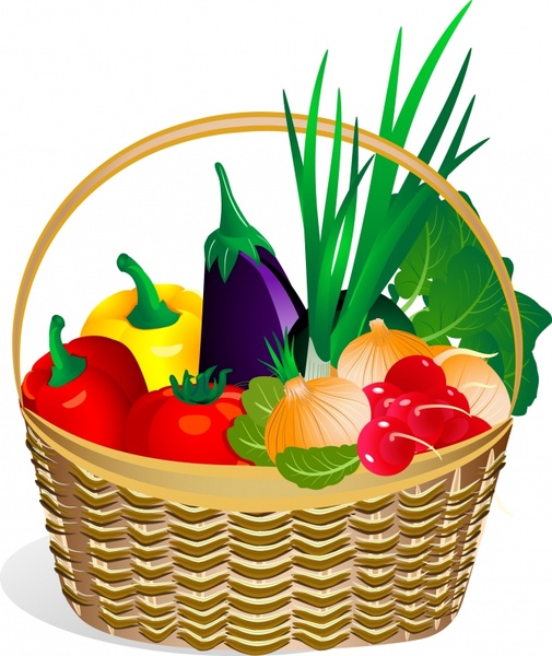 vegetable basket icon colorful flat modern sketch