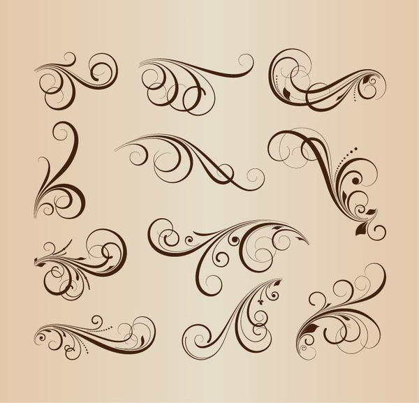 vector collection of floral design elements