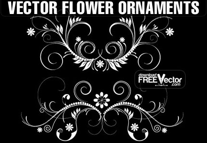 vector flower ornaments