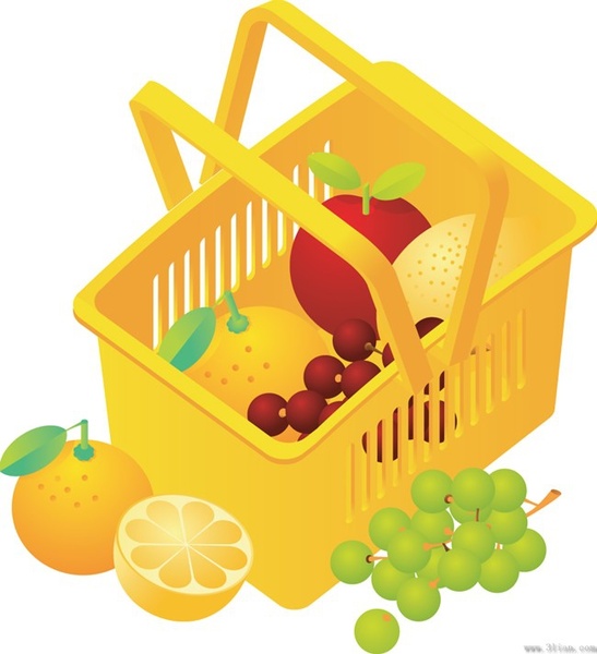 vector fruit basket