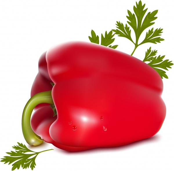 ripe pepper fruit vegetable background shiny realistic design