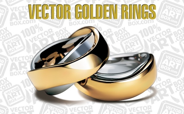 Vector Golden Rings