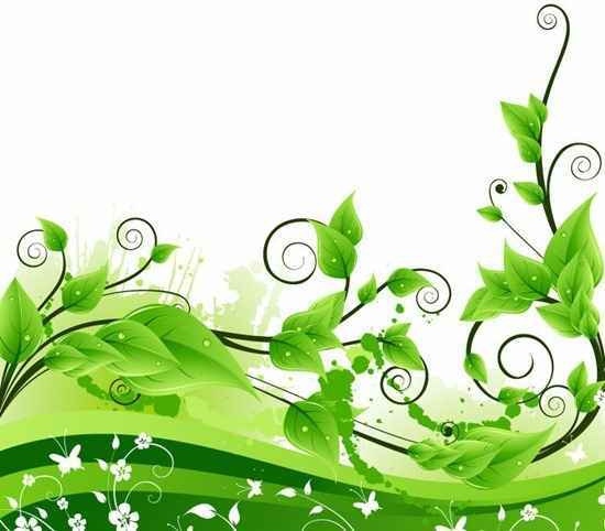 Vector Green Floral Background