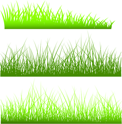 Download Vector green grass elements set Free vector in ...