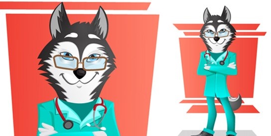 vector husky doctor